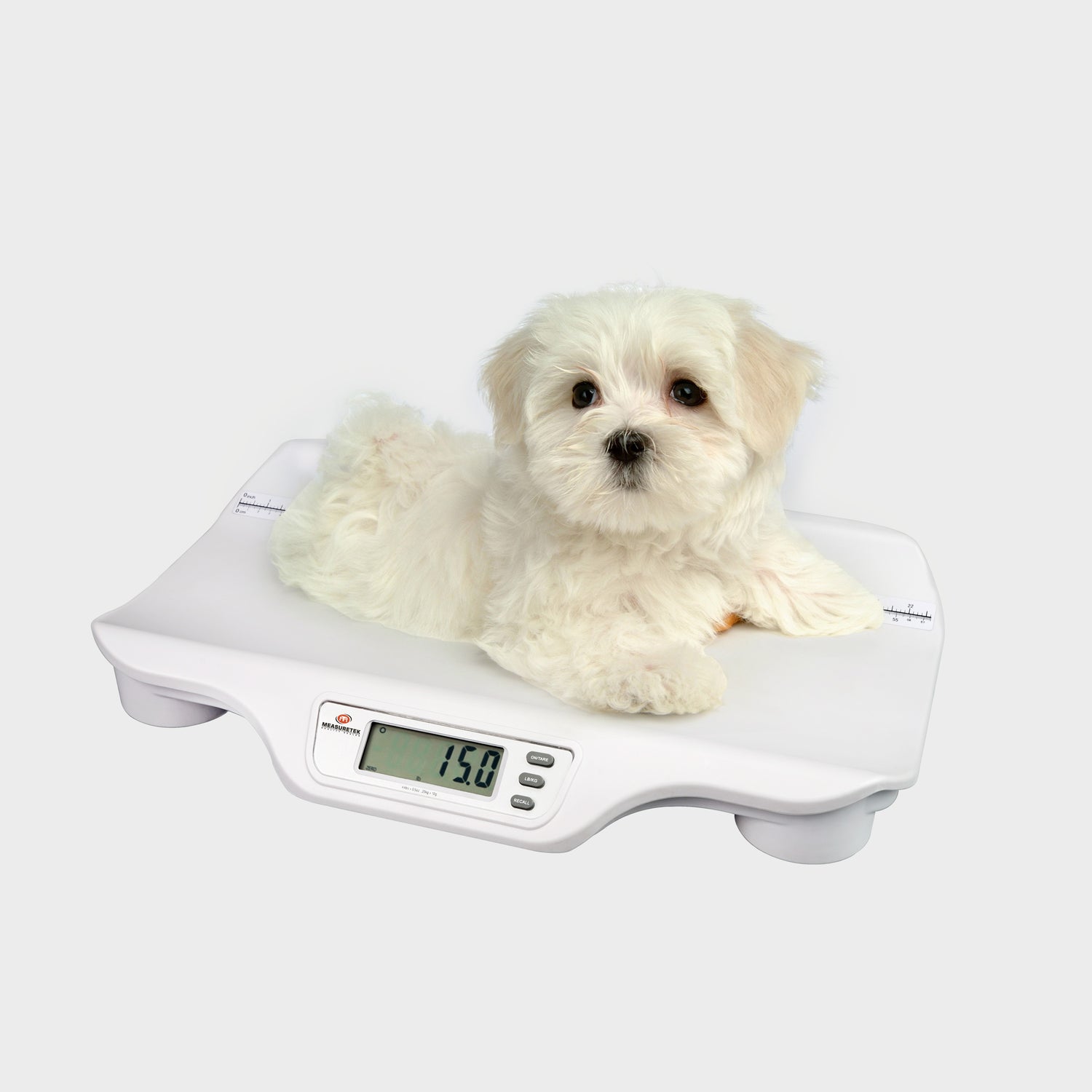 EH-ABE animal scale measuring dog weight and height
