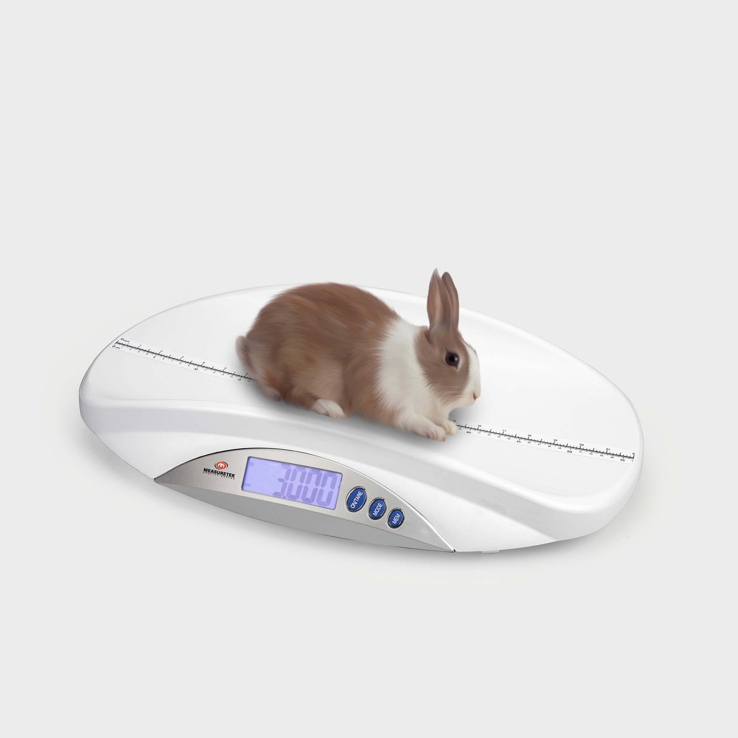 EH-ABH Veterinary Scale with Removable Platform – Dual-Mode Pet Scale for Weight & Height Measurement at Home or Clinic