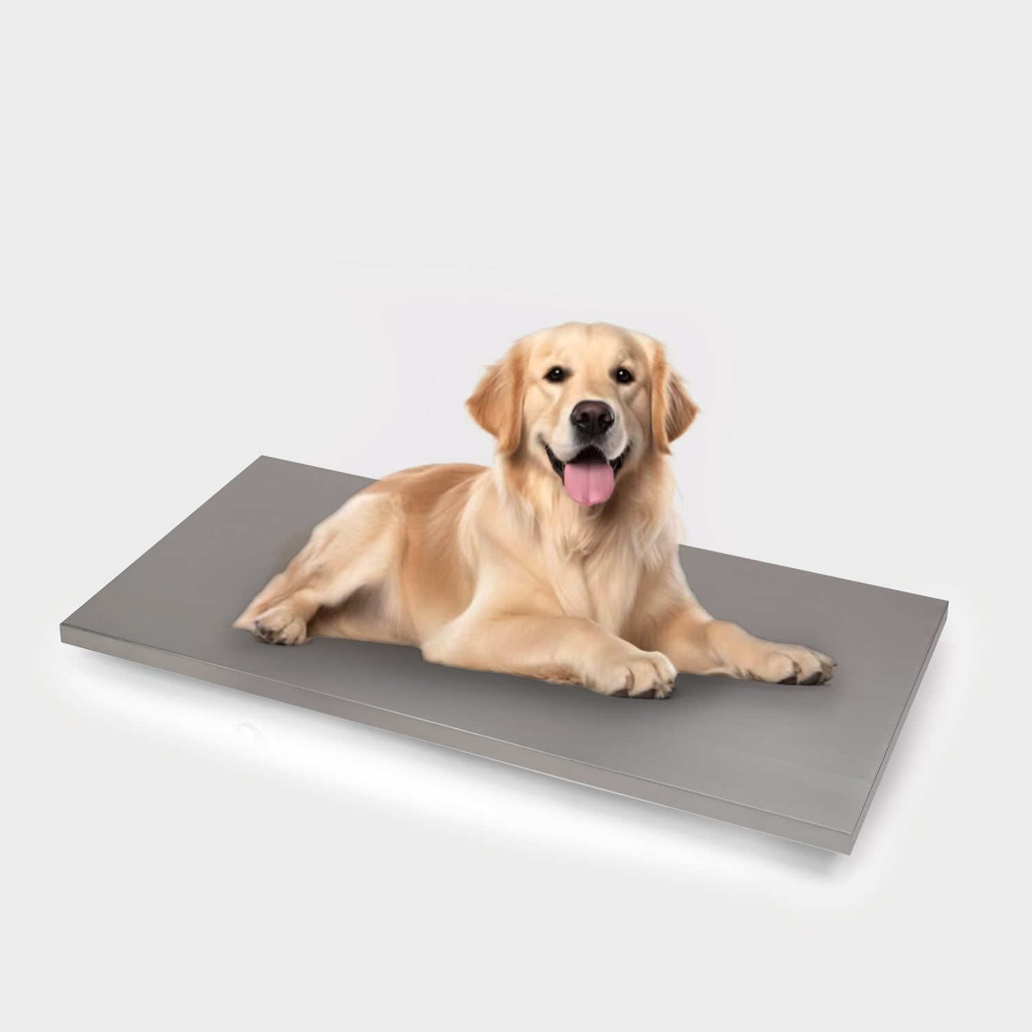 EH-AMS stainless steel animal scale for large pets and goods