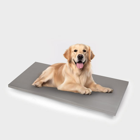 EH-AMS stainless steel animal scale for large pets and goods