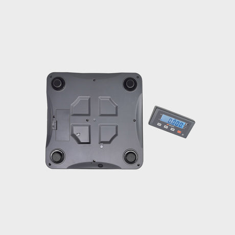 Hands-free tare activation with built-in photo eye in EH-PZ Bench scale