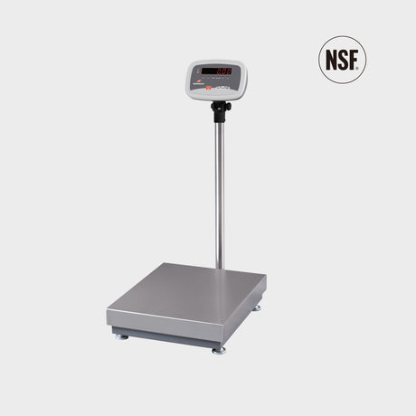 NSF-certified industrial platform scale with stainless steel platform