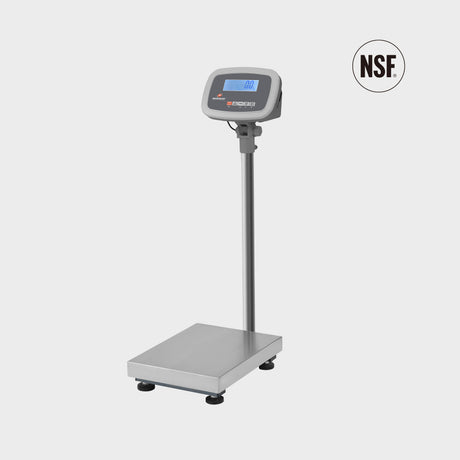 NTEP-approved stainless steel platform scale for industrial weighing