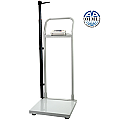 EH-HS Handrail Physician Scale