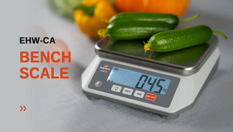 Introducing Our New Portion Scale: Redefined Precision and Performance