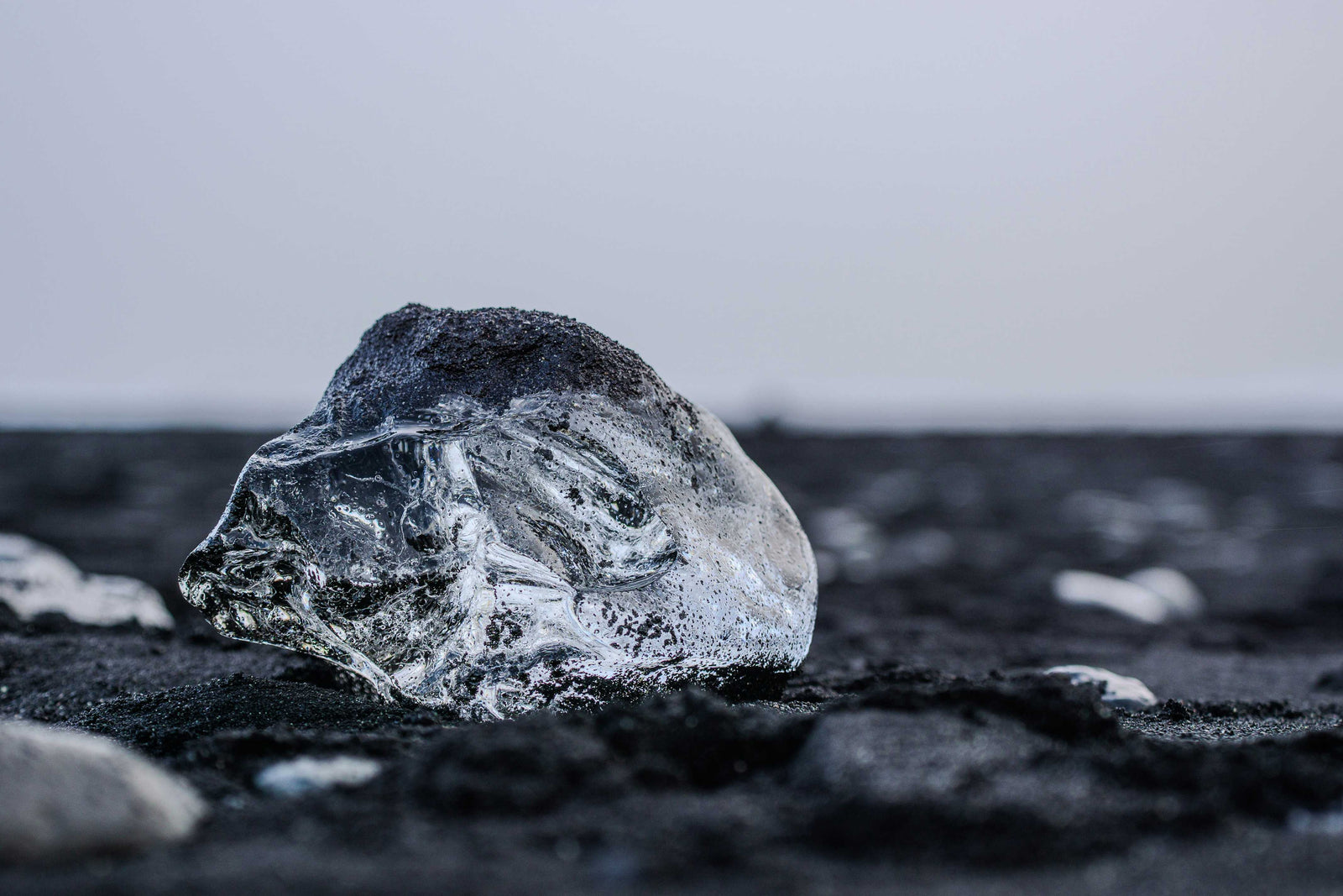 2024 Insights on Science, Sustainability, and Community-Driven Solutions for a Better Future