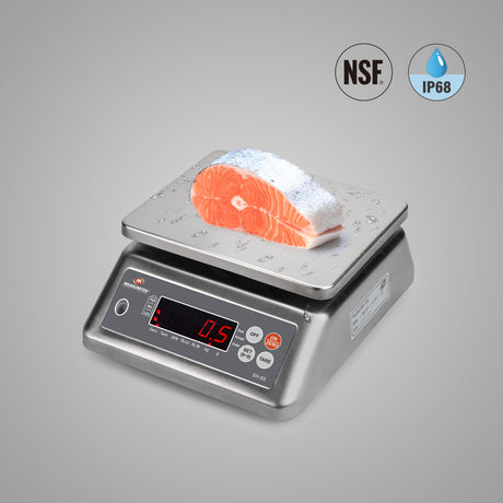 Washdown Scales