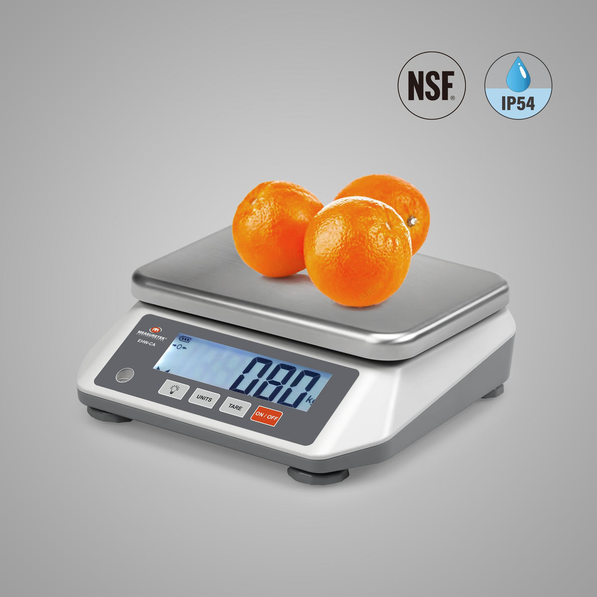 Bench Scales – Welcome to East High Scales - Your Weighing Expert