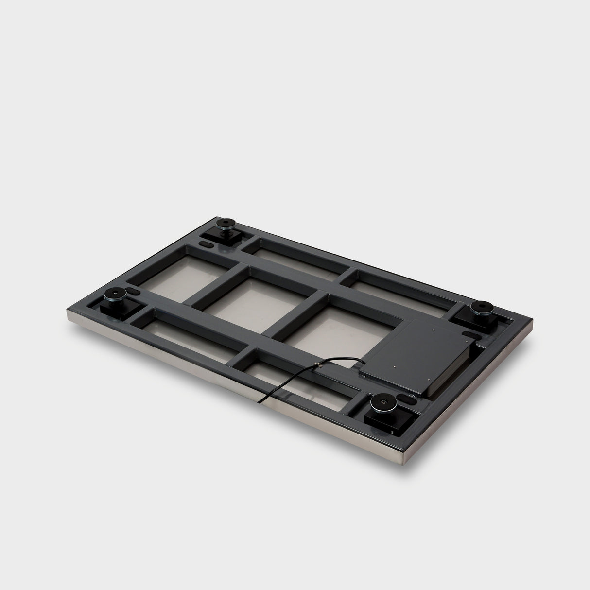 EH-AMS Animal Scale / Stainless Steel Digital Bench Scale / Veterinary Scale / Livestock Scale / Floor Scale